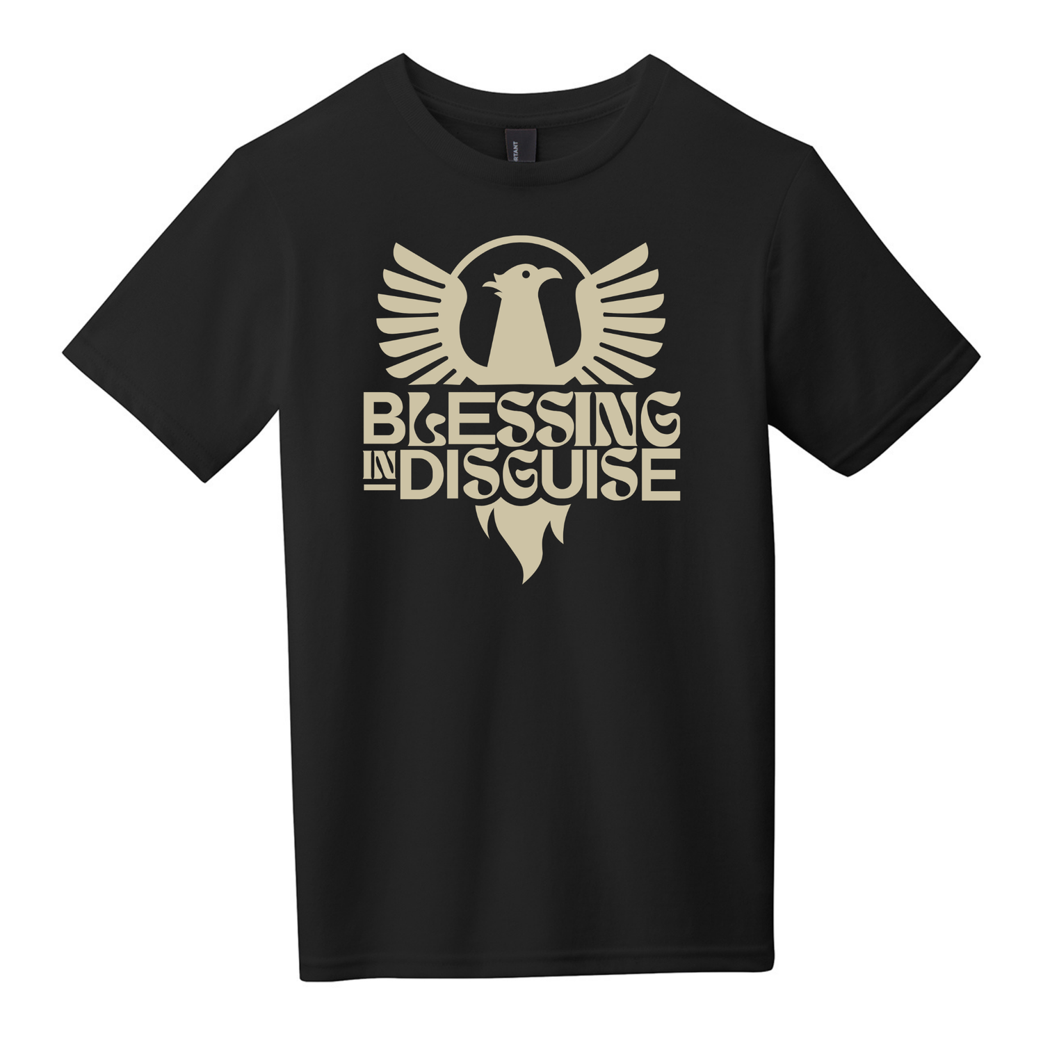 Blessing in Disguise Shirts
